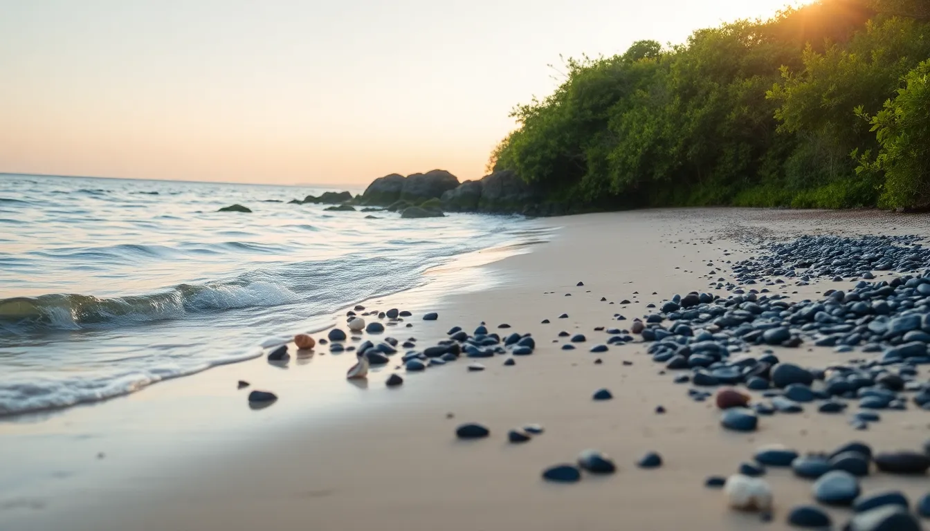 제주 닐모리동동 한라산 빙수
