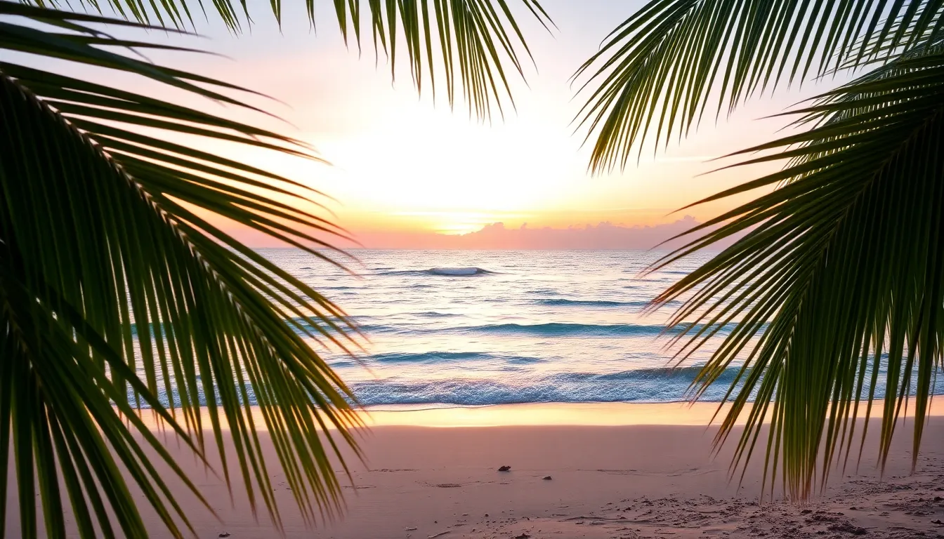 제주도의 아름다운 해변 풍경